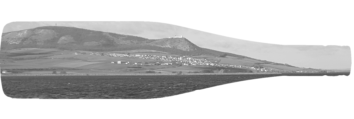 vilaPavlov